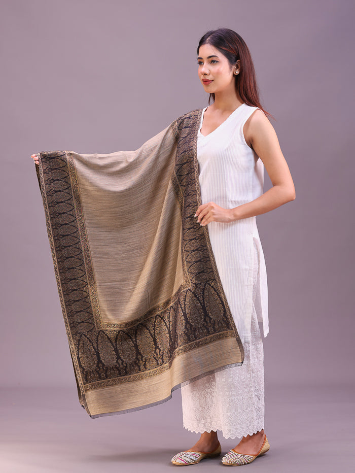 Women's Kani Wool Stole With Zari Work