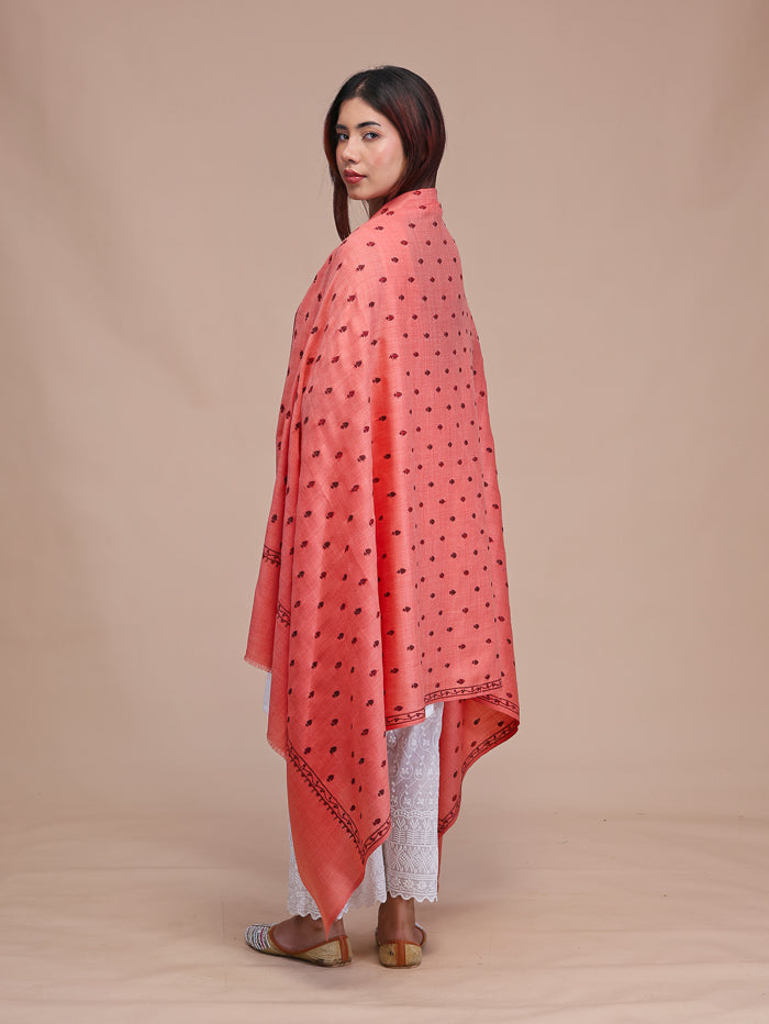 Women's Aari Embroidered Wool Shawl