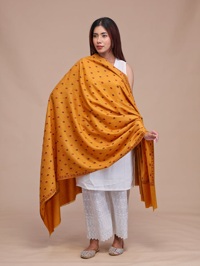 Women's Aari Embroidered Wool Shawl