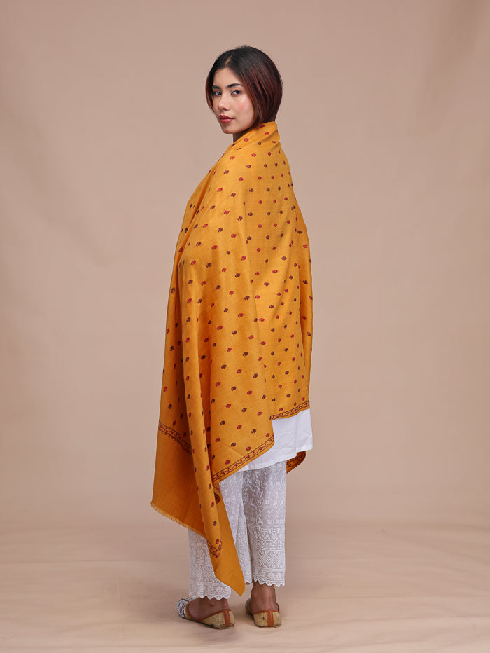 Women's Aari Embroidered Wool Shawl
