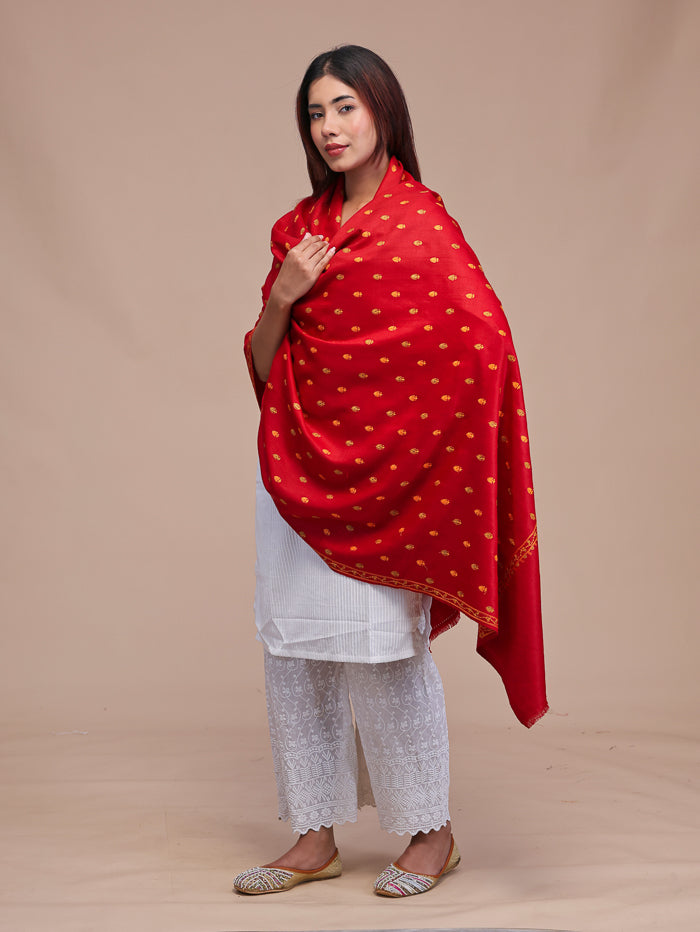 Women's Aari Embroidered Wool Shawl