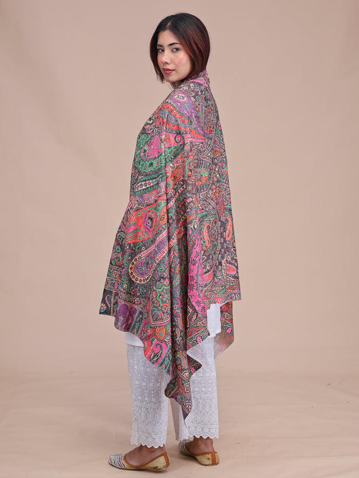 Women's Printed Aari Embroidered Wool Shawl