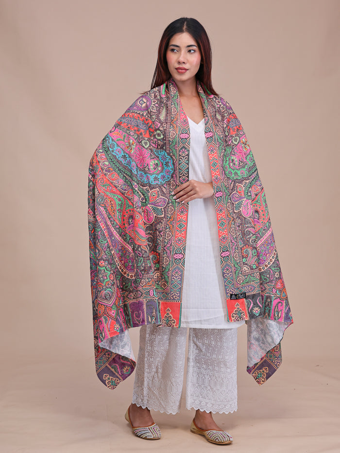 Women's Printed Aari Embroidered Wool Shawl