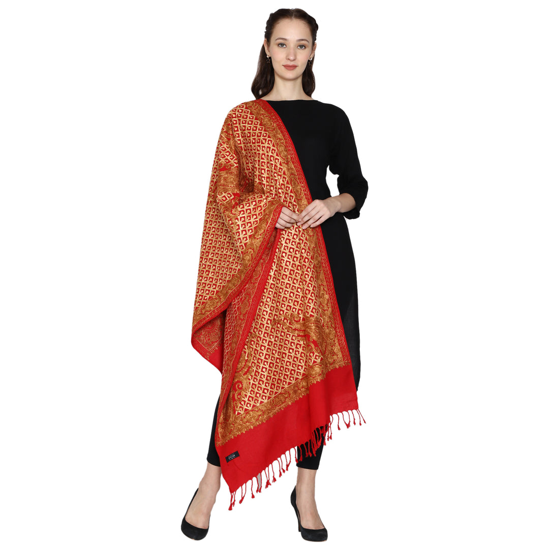 Women's Aari Embroidered Wool Stole