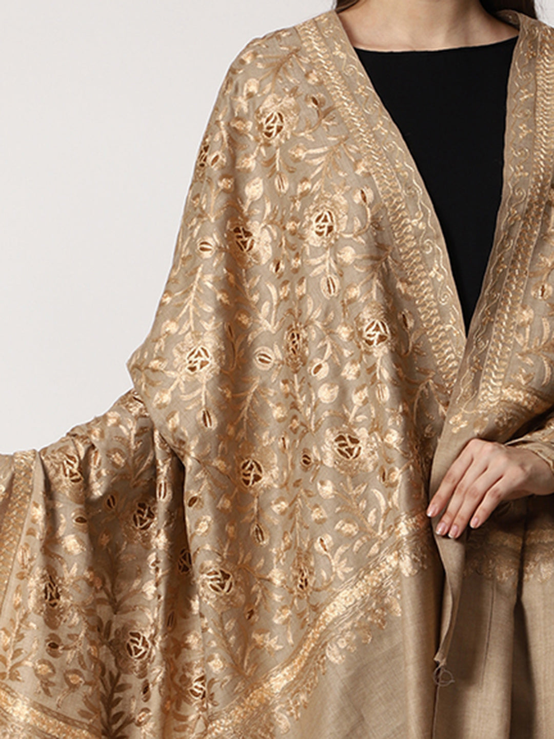 Women's Aari Embroidered Wool Shawl