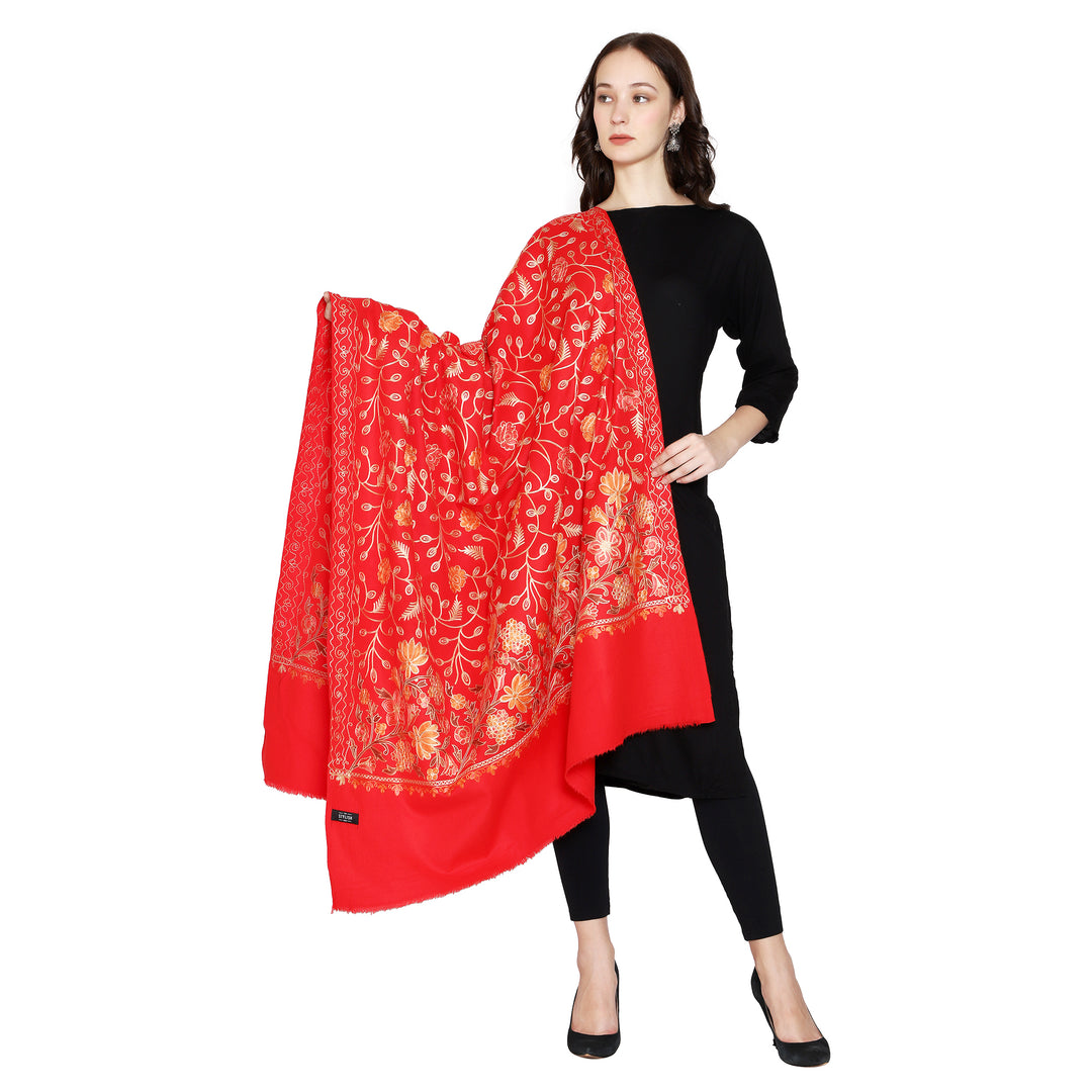 Women's Aari Embroidered Wool Shawl