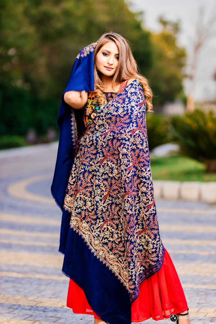 Women's Aari Embroidered Wool Shawl