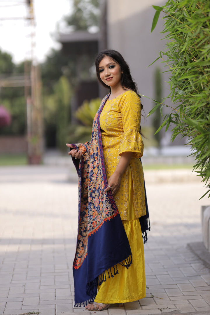 Women's Aari Embroidered Wool Stole