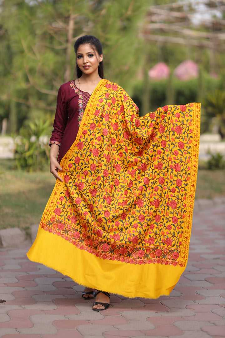 Women's Aari Embroidered Wool Shawl