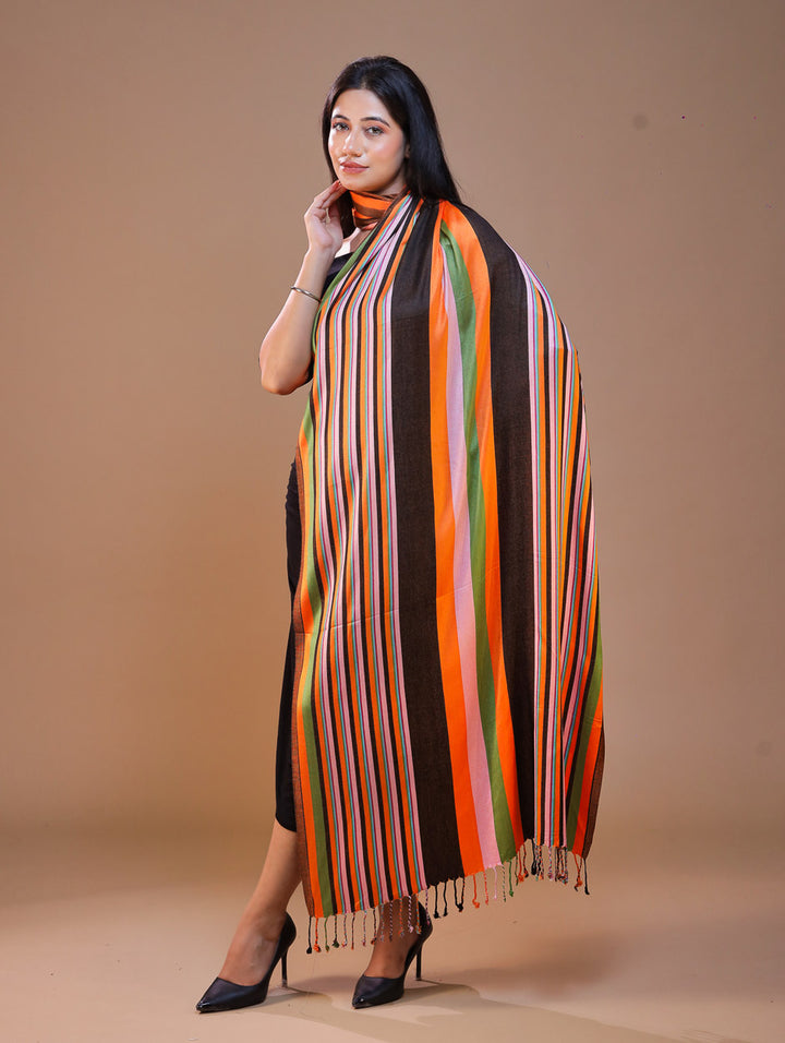 Women's Striped Formal Viscose Stole