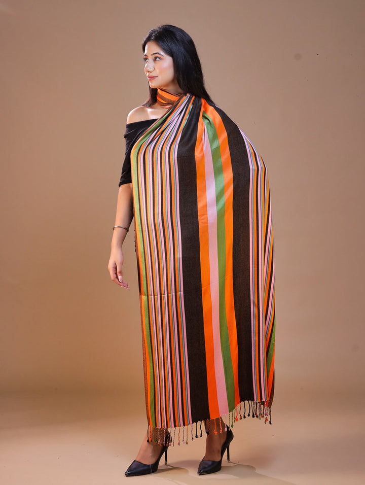 Women's Striped Formal Viscose Stole