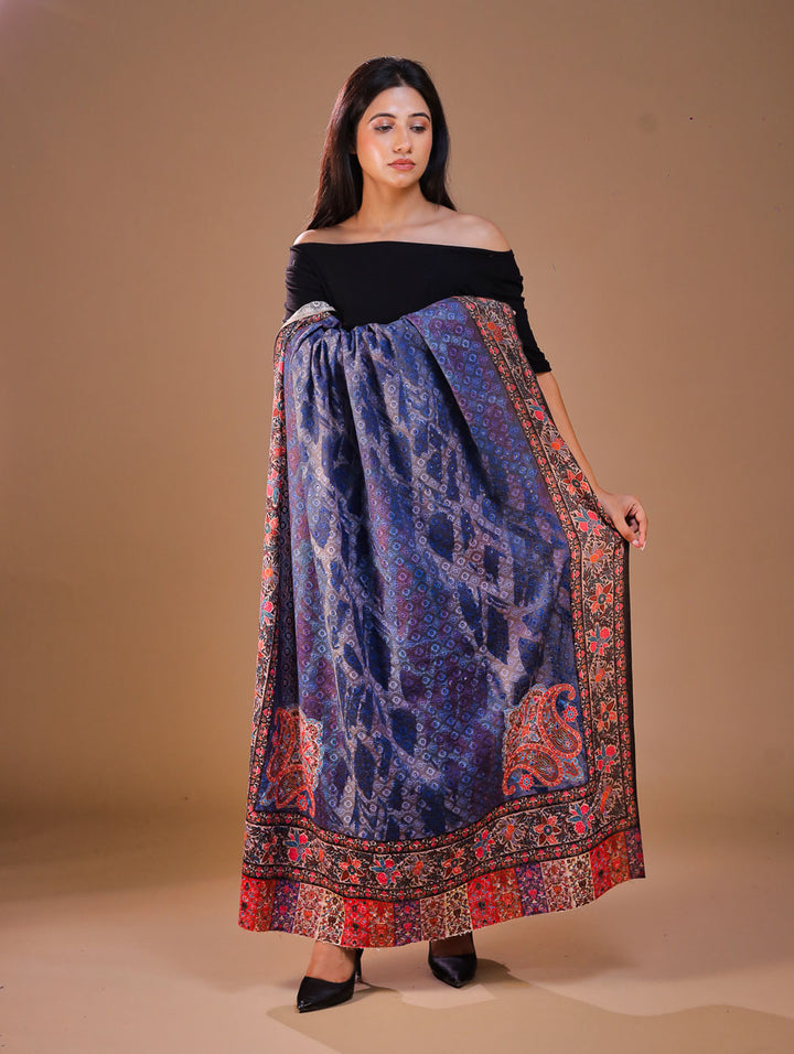 Women's Kalamkari Printed Aari Outlined Wool Shawl