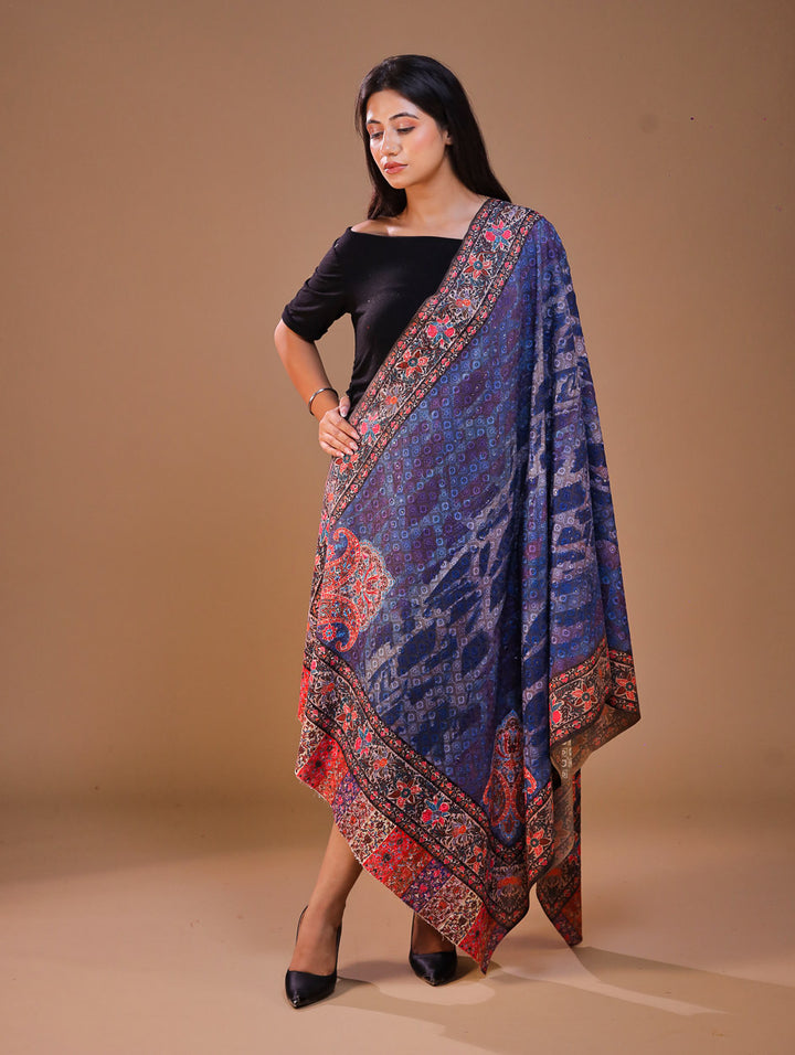 Women's Kalamkari Printed Aari Outlined Wool Shawl