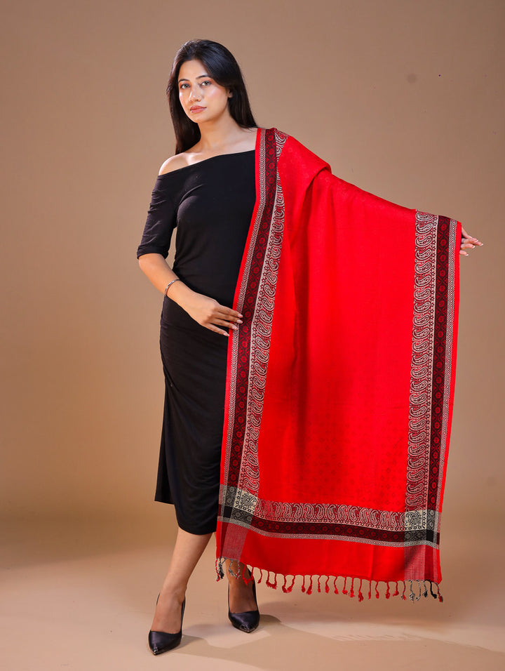 Women's Viscose Wool Stole