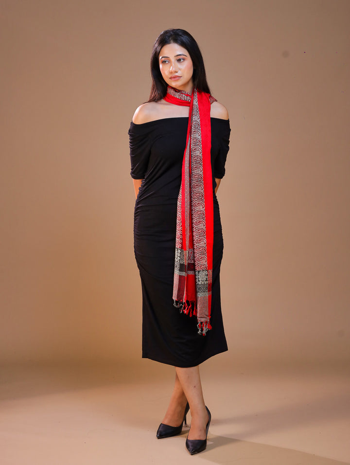 Women's Viscose Wool Stole