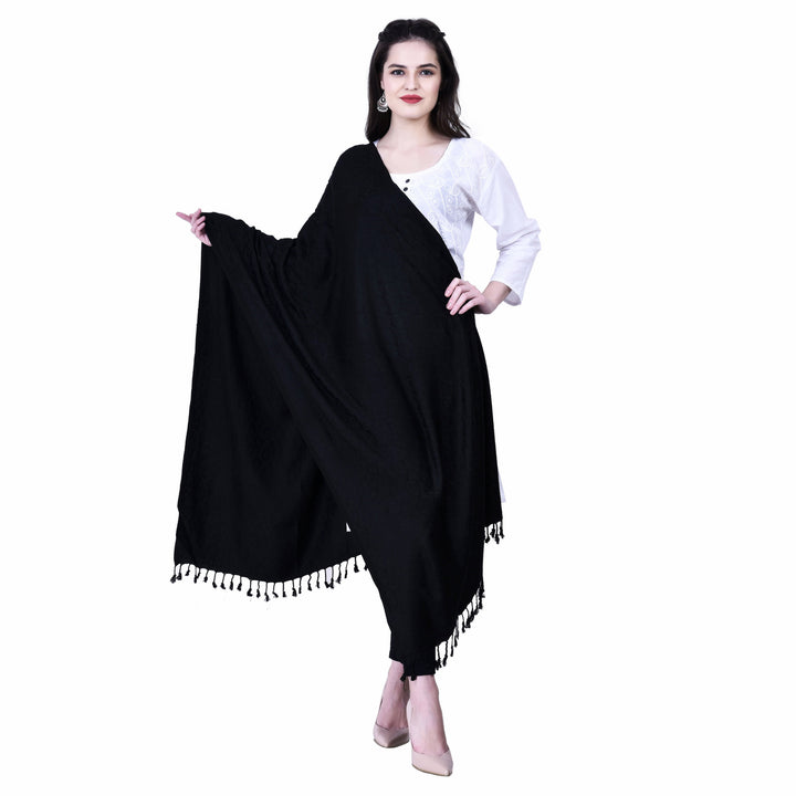 Women's Formal Viscose Stole