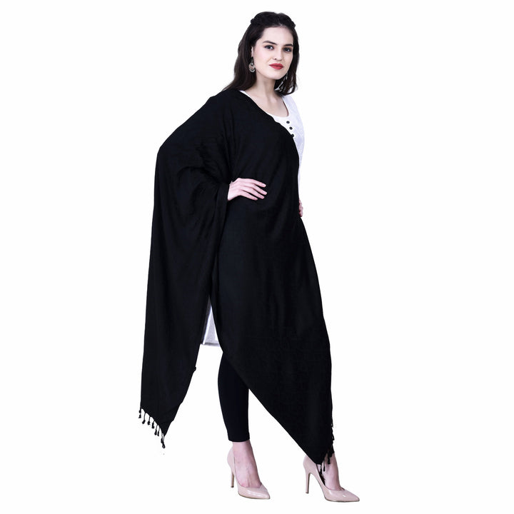 Women's Formal Viscose Stole