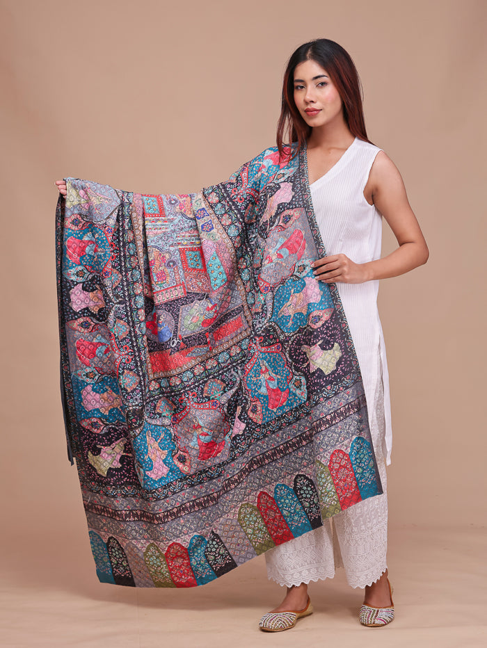 Women's Kalamkari Printed and Embroidered Wool Shawl