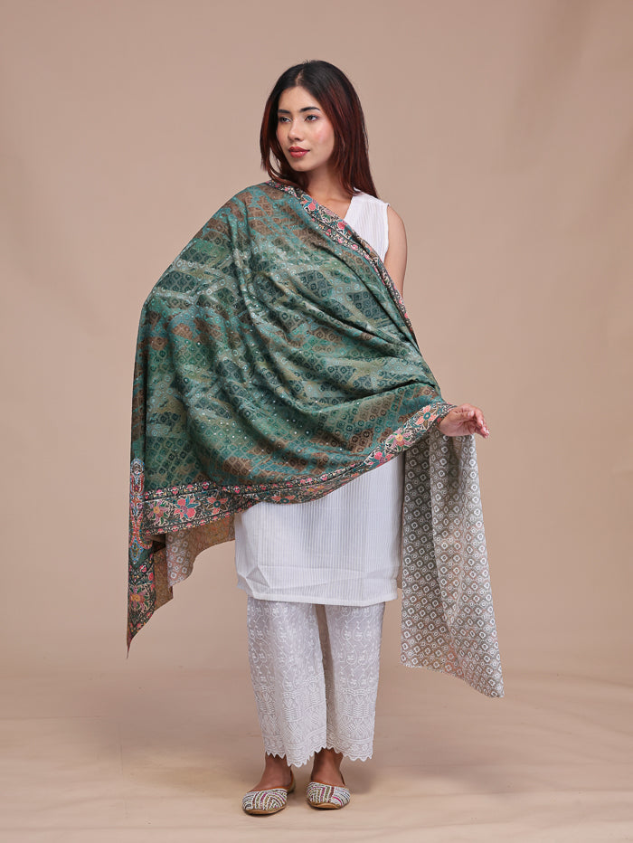 Women's Kalamkari Printed and Embroidered Wool Shawl