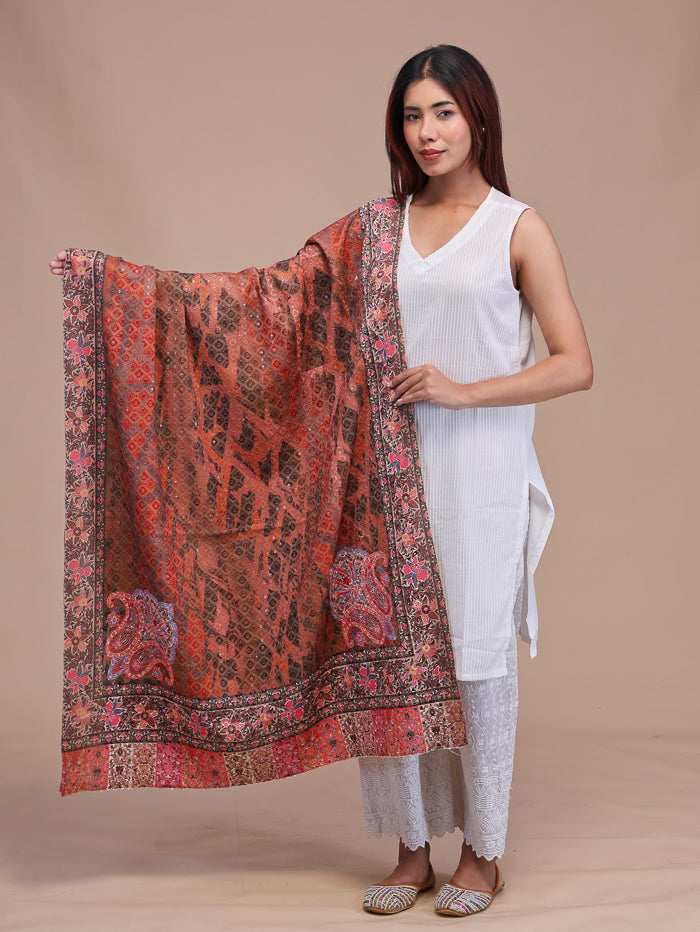 Women's Kalamkari Printed and Embroidered Wool Shawl