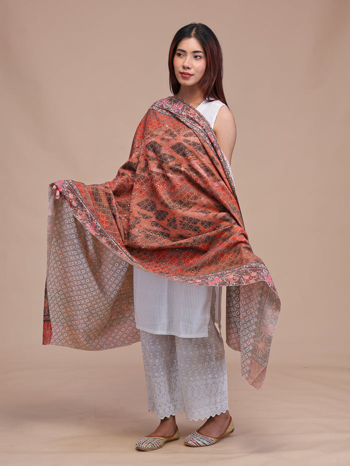 Women's Kalamkari Printed and Embroidered Wool Shawl