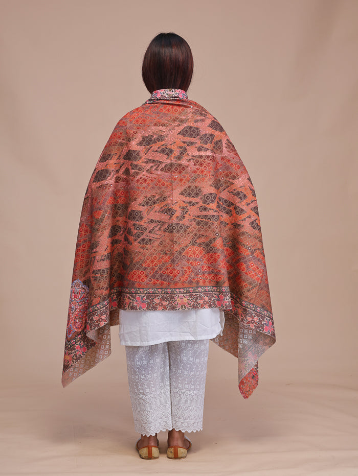 Women's Kalamkari Printed and Embroidered Wool Shawl