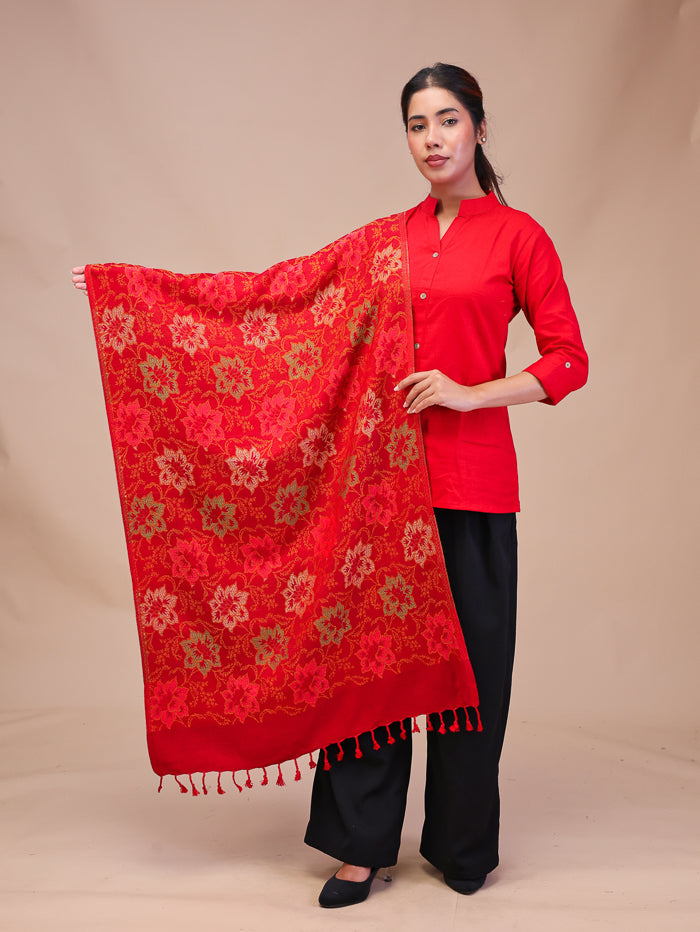 Women's Acrylic Wool Stole