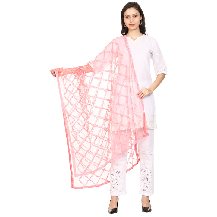 Women's Embroidered Nylon Net Dupatta
