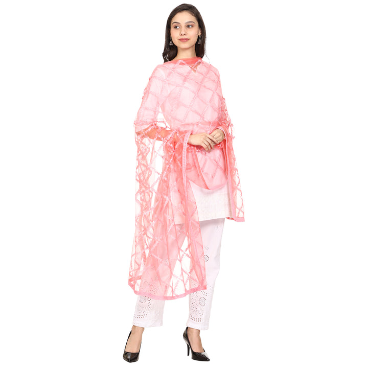 Women's Embroidered Nylon Net Dupatta