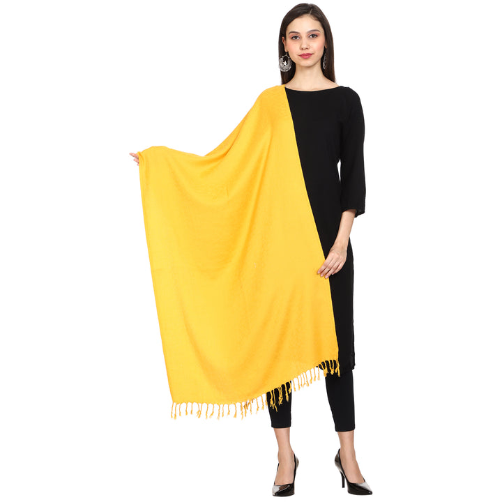 Women's Formal Viscose Stole