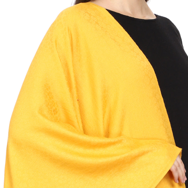 Women's Formal Viscose Stole
