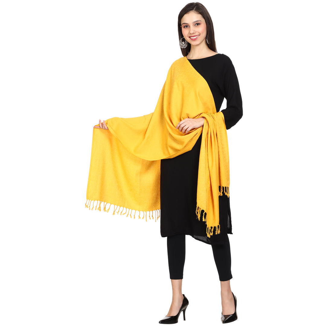 Women's Formal Viscose Stole