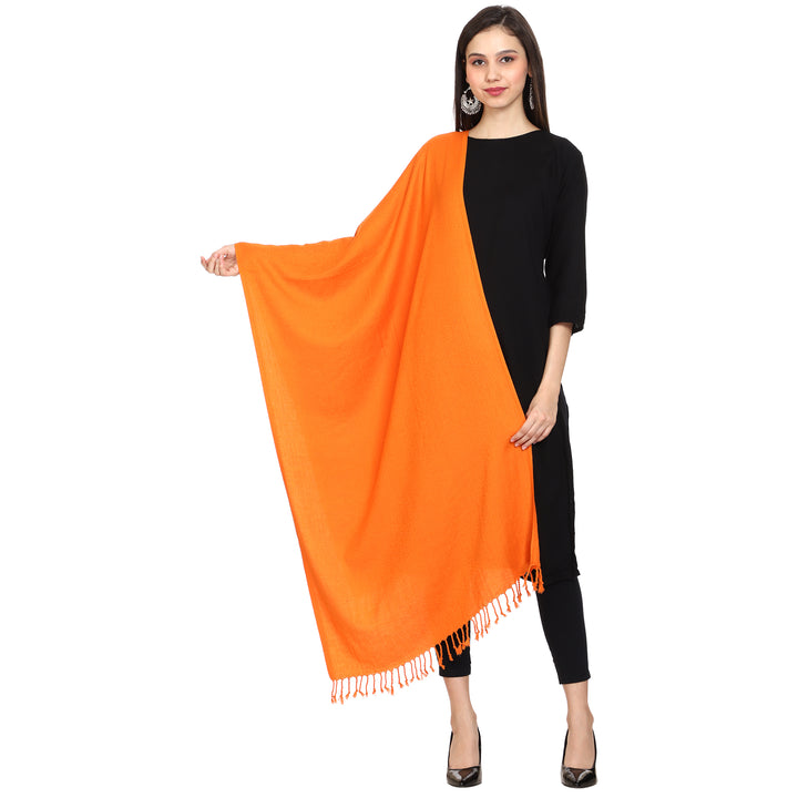 Women's Formal Viscose Stole
