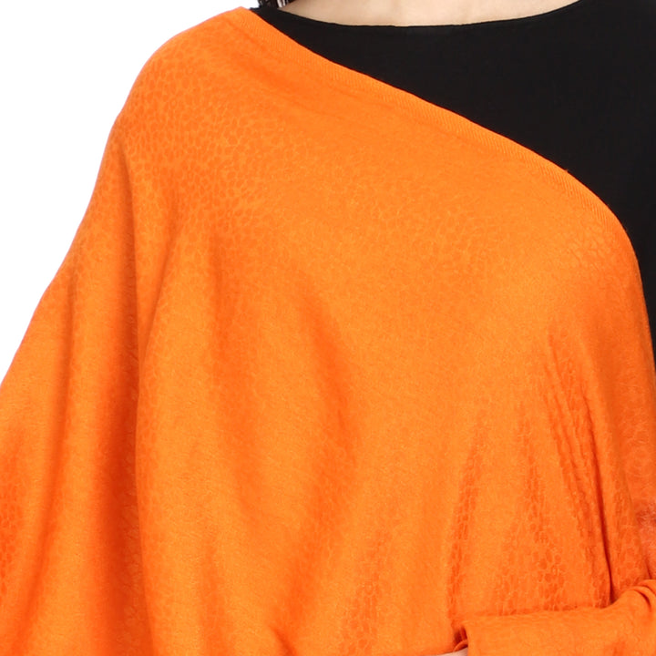 Women's Formal Viscose Stole