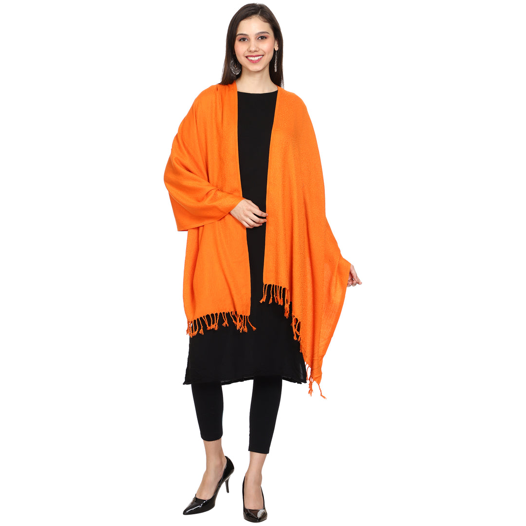 Women's Formal Viscose Stole