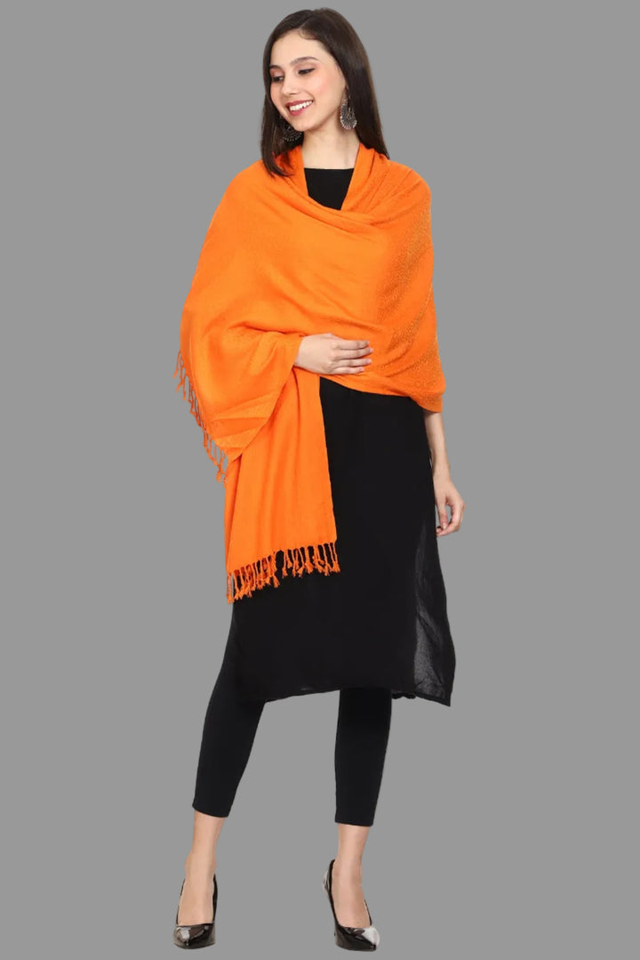 Women's Formal Viscose Stole