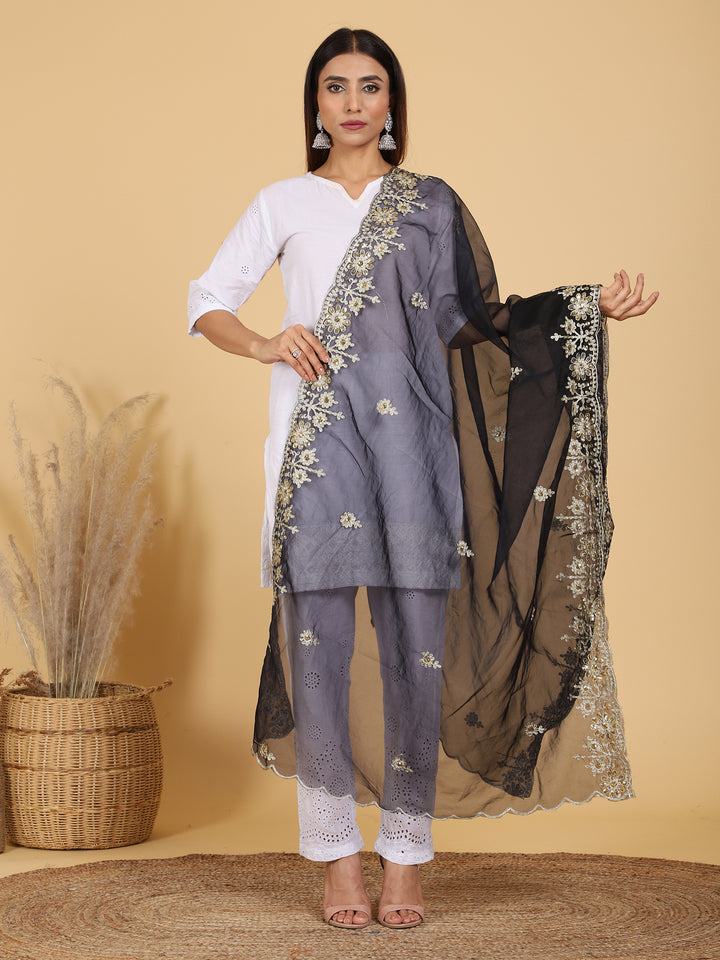 Women's Organza Zari Dupatta with Sequence