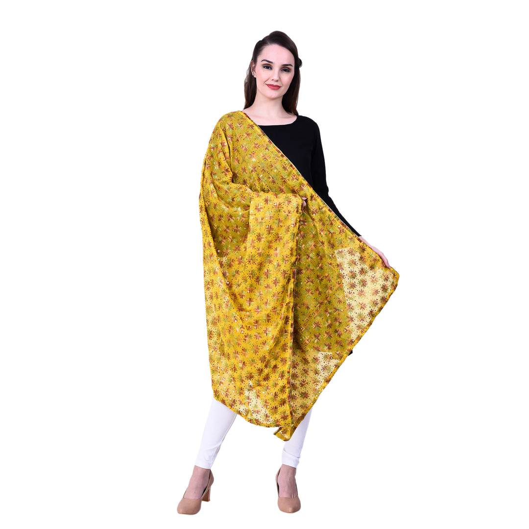 Women's Phulkari Chiffon Dupatta with Sequins