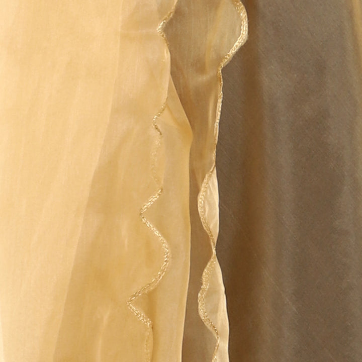 Women's Organza Dupatta